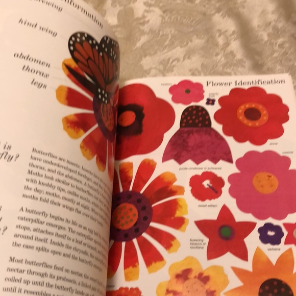 WAITING FOR WINGS-NWOT SCHOLASTIC CHILDREN’S BOOK EDUCATIONAL NON FICTION - #232 - Picture 7 of 8